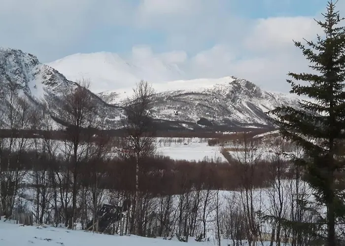 Best Of Lyngen Panorama Apartment