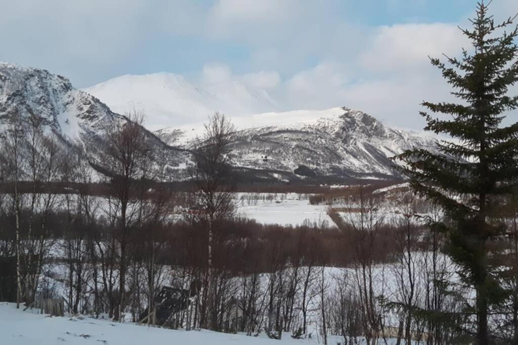 Appartement Of Lyngen Panorama Lyngseidet