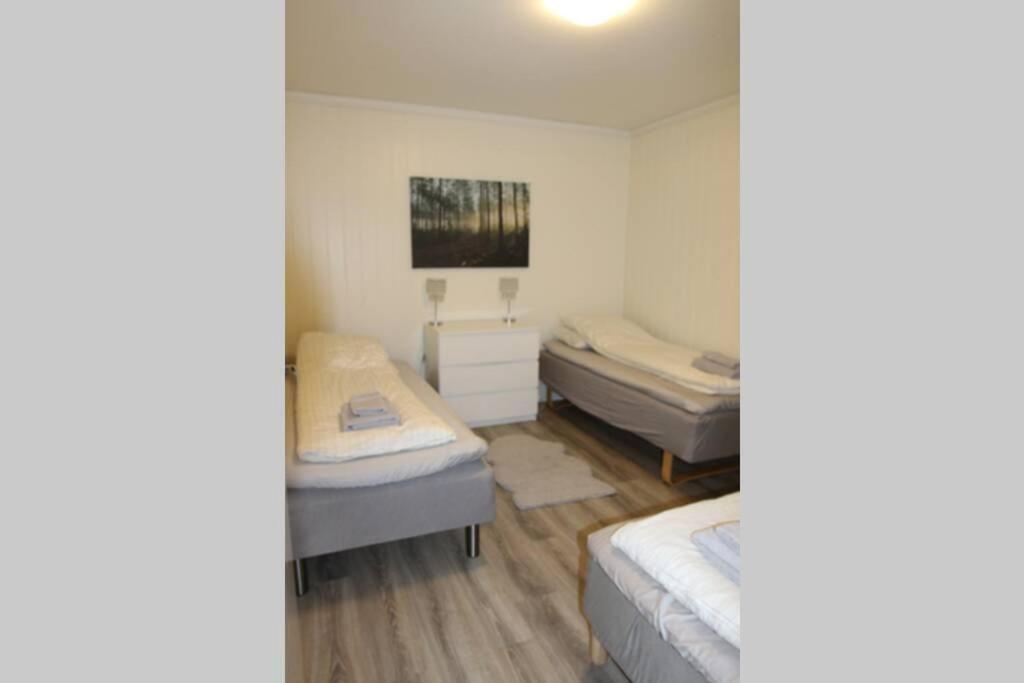 Of Lyngen Panorama Appartement Lyngseidet