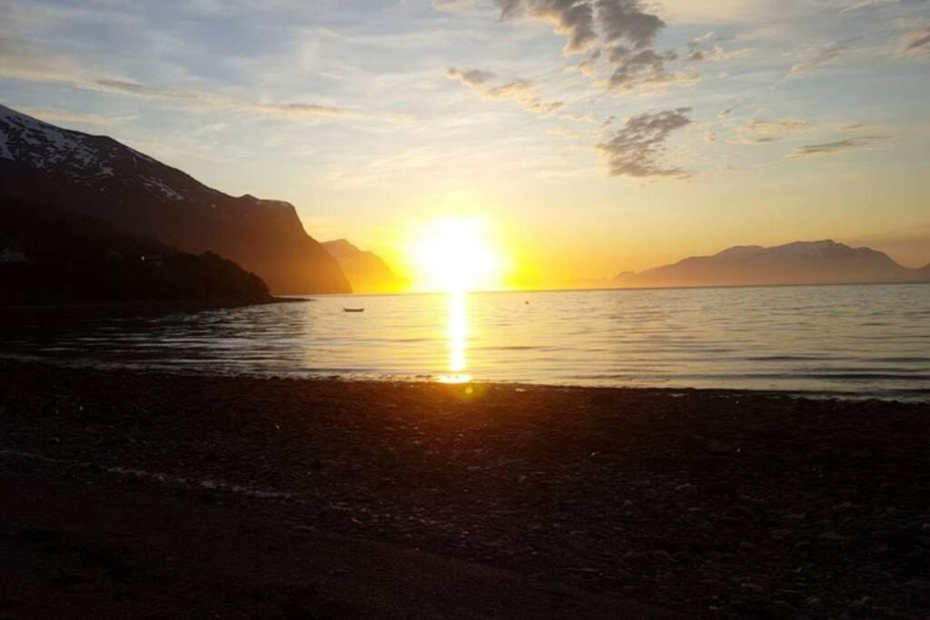 Of Lyngen Panorama *