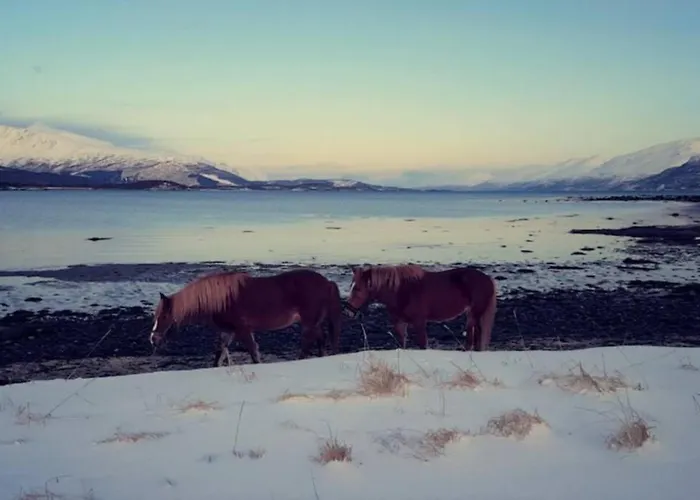 Best Of Lyngen Panorama Apartment